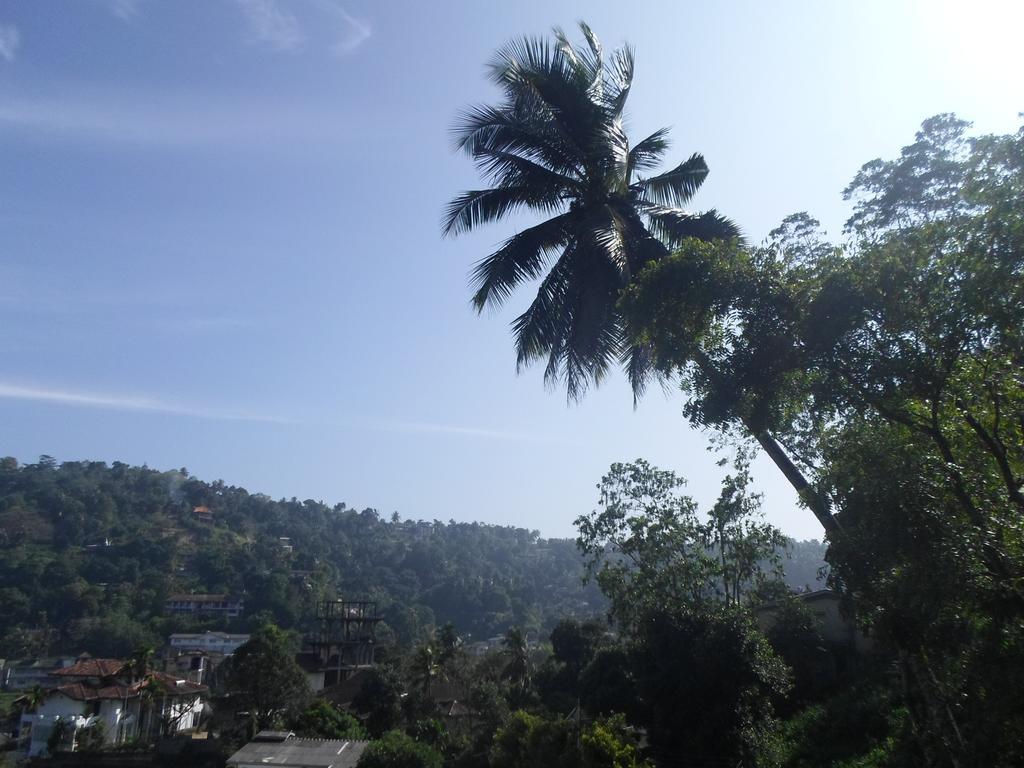Kandy Hills المظهر الخارجي الصورة